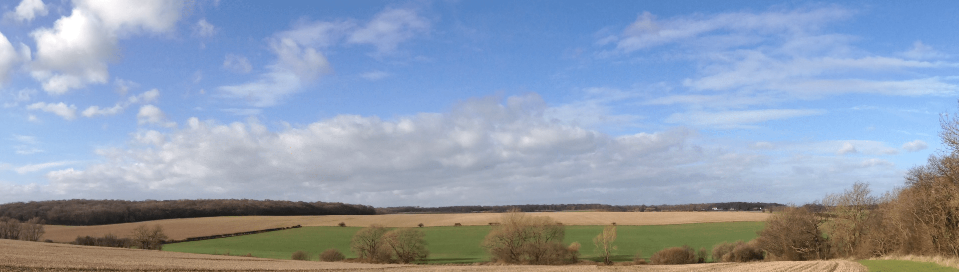 Landinspektør Vest - udsigt til ekspert rådgivning til landbrug og det åbne land